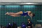 Women's Diving  Wheaton College Women’s Diving vs Mount Holyoke College. - Photo by Keith Nordstrom : Wheaton, Swimming & Diving